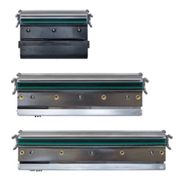 TSC MH 241T Printer Head