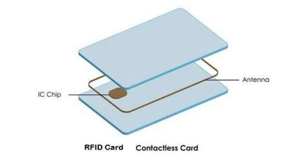 Mynds RFID Chip Card